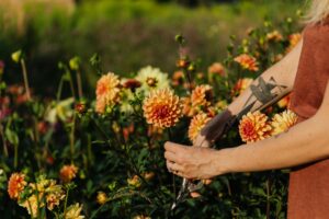 Gardener Volunteer Catherine House Role